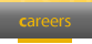career